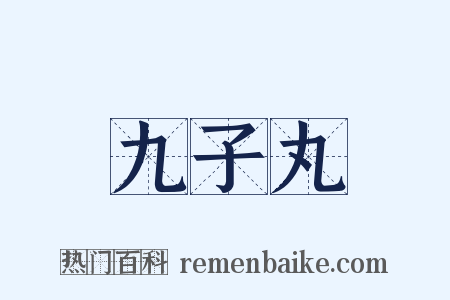 九子丸是什么意思的图片